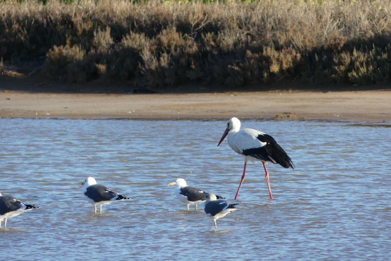 Kasa Blanca * Olhao